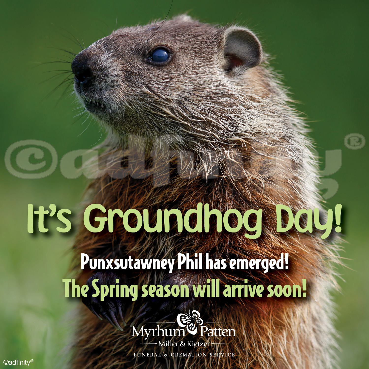 It's Groundhog Day. The Spring season will arrive soon! (Facebook ...